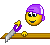 Smiley